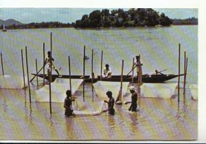 India Postcard - Bangladesh - Fish Farming - Ref TZ30