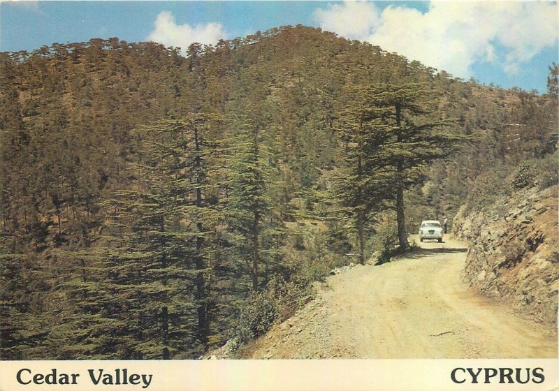 Cyprus Cedar Valley postcard