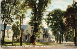 Jonathan Edwards Elm Northampton MA c1908 Postcard F75