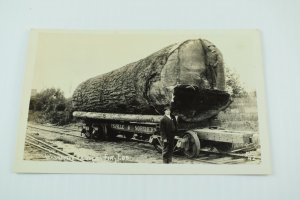 Vintage RPPC Men Giant Douglas Fir Log Marysville & Northern RR Logging P72