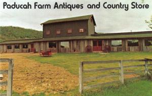 NEW MARTINSVILLE, WV West Virginia PADUCAH FARM ANTIQUES~STORE Roadside Postcard