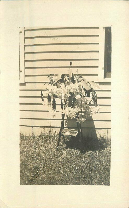 C-1910 Floral Arrangement Pot Stand Magazines RPPC Photo Postcard 20-11751