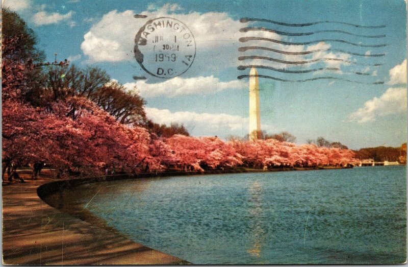 Washington Monument DC Cherry Trees Postcard PM Cancel WOB Note VTG Vintage 3c 