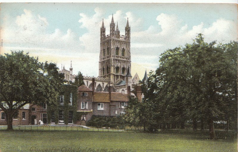 Gloucestershire Postcard - Gloucester Cathedral from The Paddock   2123