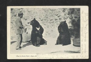 ELGIN ILLINOIS LORD'S ARK ZOO BEARS BEAR PIT VINTAGE POSTCARD 1905