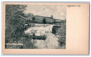 c1900 Liberty Falls Waterfalls Liberty New York NY Vintage Antique Postcard