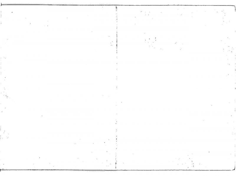 Blonde Woman Risque 4x6 Vintage 1970s Foldable Card