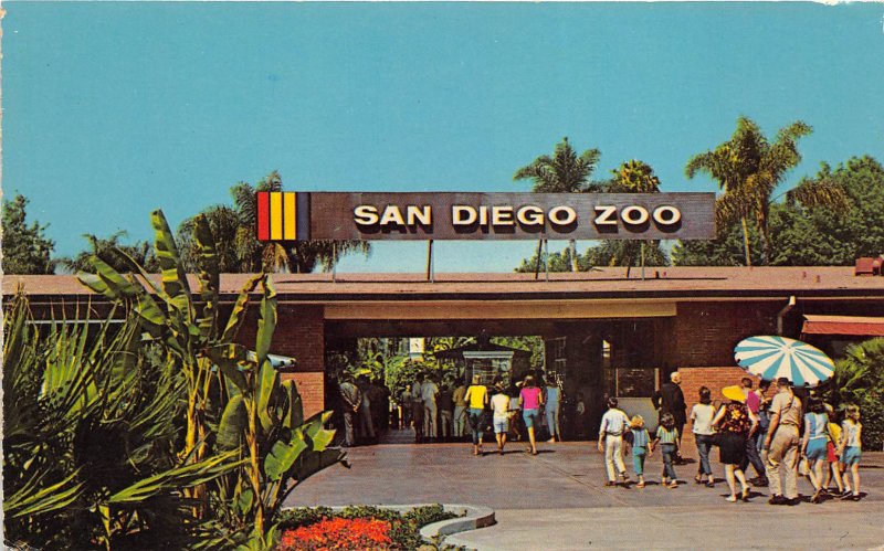 San Diego California 1960s Postcard Animal Color Series Main ZOO Entrance