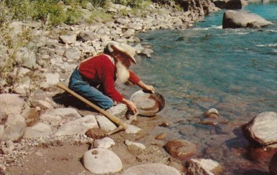 The Old Miner Panning For Gold 1968