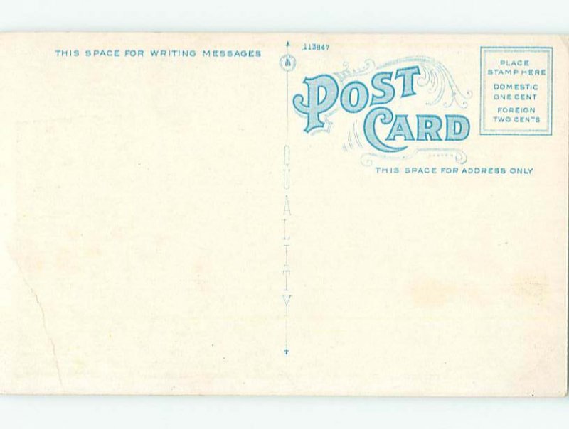 W-border NATURE SCENE Stamford - Near Delhi & Oneonta & Schoharie NY AD7103