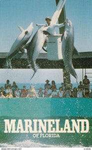 MARINELAND , Florida , 1950-60s ; Dolphins