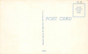 Florida's Tropical Flame Vine Misc FL Postcard