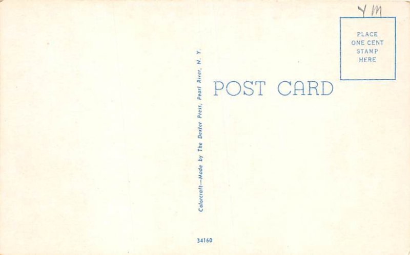 Florida's Tropical Flame Vine Misc FL Postcard