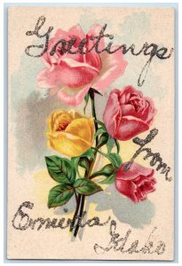 Emida Idaho ID Postcard Greetings DPO (1898 - 1967) Glitter Flower c1910 Vintage