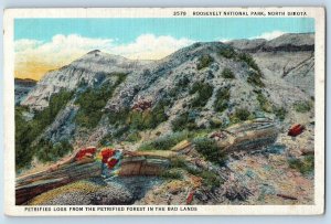 1939 Roosevelt National Park Petrified Logs From Bad Lands North Dakota Postcard