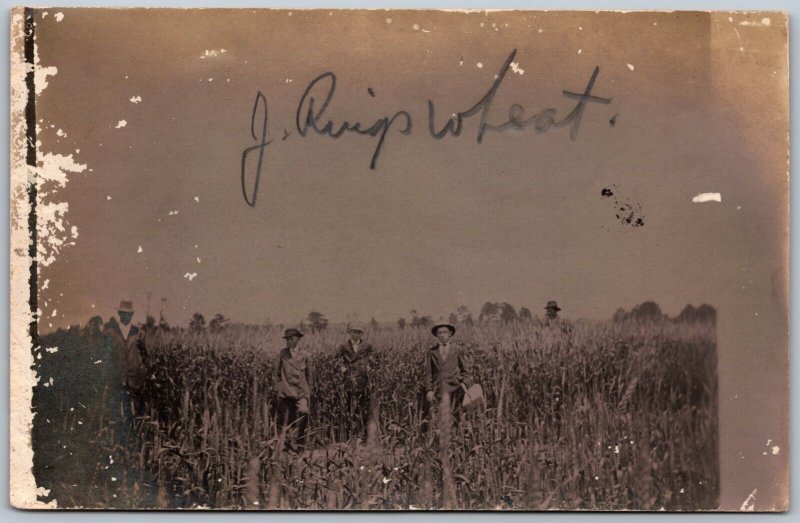 Postcard RPPC c1910s Iowa? Men Standing in Wheat Farm *as is*
