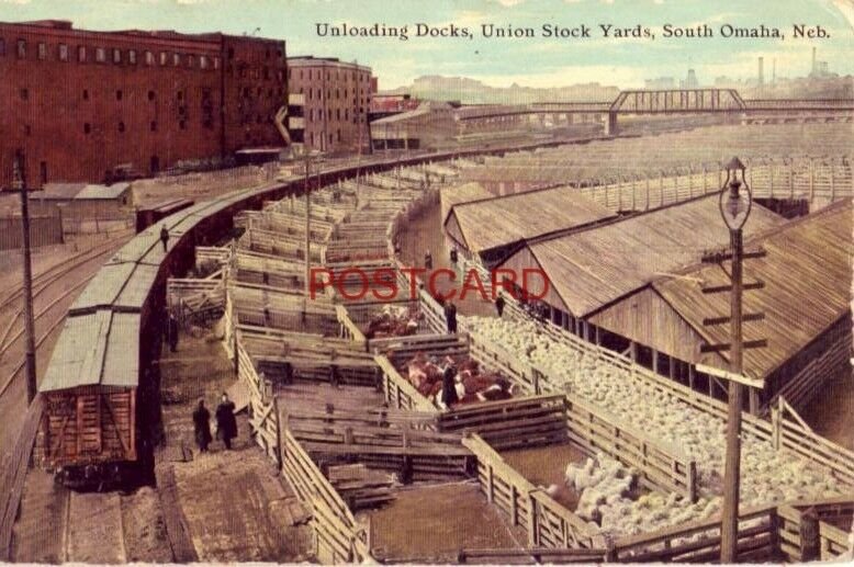 UNLOADING DOCKS, UNION STOCK YARDS, SOUTH OMAHA, NEB.