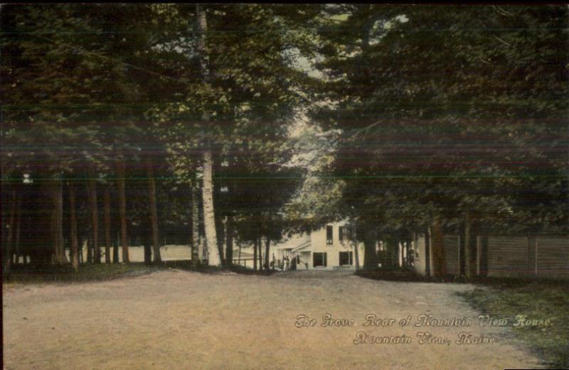 Mountain View ME Rear of Mountain View House c1910 Postcard