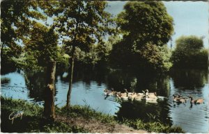 CPA PRÉ-en-PAIL - Etang du Bois-Gaude (123422)