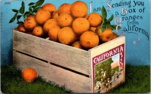 Postcard Box of Oranges from California~138517