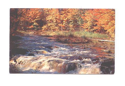 Lovely River, Rushing Water, Morehead City, North Carolina,