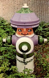 Indiana South Bend Colorful Fire Hydrant Benjamin Lincoln Stands Guard In Riv...