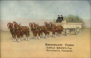 Minneapolis MN Brooklyn Farm Earle Brown Prop Bealgian Horse Team Postcard