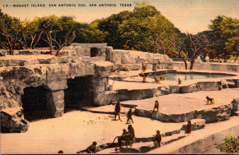 Texas San Antonio Zoo Monkey Island