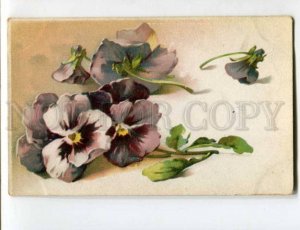 402631 PANSY Flowers by KLEIN vintage LITHO KT Russian PC