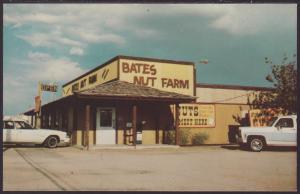 Bates Nut Farm,Mesa,AZ Postcard