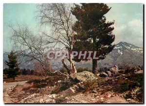 Postcard Modern Colors and Light of France Corsica Oasis Beauty Col de Vergio