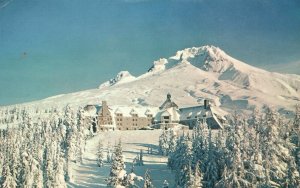 Vintage Postcard 1962 Mount Hood and Timber Line Lodge OR Oregon Sentinel Peak