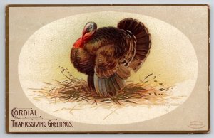 Ellen Clapsaddle Cordial Thanksgiving Greeting 1908 Auburn Maine Postcard J26