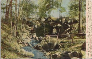 New York~Rustic Cave-Like Stream~Railing/Clearing Central Park~Vintage Postcard 