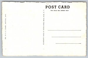 Westfield  Massachusetts  Elm Street  Postcard