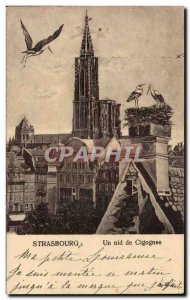Old Postcard Strasbourg cathedral A nest of storks