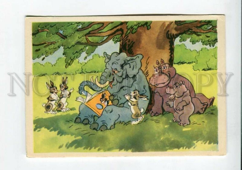 3114183 ELEPHANT HARES HIPPOPOTAMUS Old Funny Russian PC