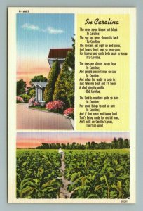 In Carolina Poem, North Carolina Postcard 