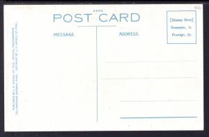 Wild Buckwheat,Yellowstone National Park