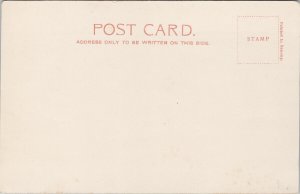 South Africa Jeppestown In The Park c1906 Sallo Epstein Co Postcard E96