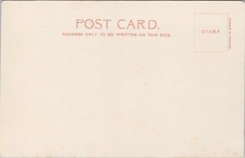 South Africa Jeppestown In The Park c1906 Sallo Epstein Co Postcard E96