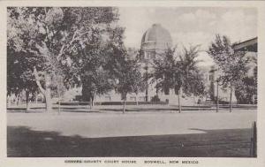 New Mexico Chaves County Court House Albertype