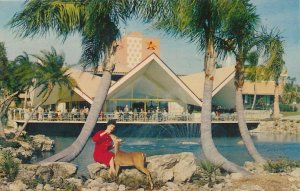 Hospitality House Lagoon and Garden at Anheuser-Busch's Brewery Tampa FL Florida