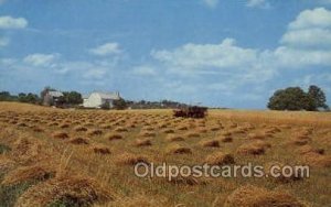 Harvest Time Farming Unused 