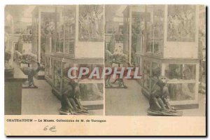 Old Postcard Chateaudun Le Musee M Collection Tarragon Monkey