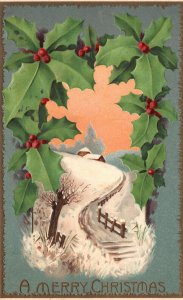 1911 Merry Christmas Holly Leaves Homestead Holiday Greetings Vintage Postcard