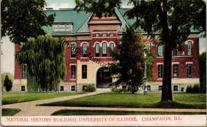 Natural History Building University of Illinois Champaign IL Postcard PC260