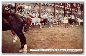 c1910 Interior State Fair Grounds Coliseum Indianapolis Indiana Antique Postcard