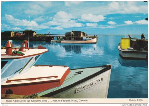 Boats in ALBERTON harbor , Northwest tip of P.E.I. , Canada , 50-70s