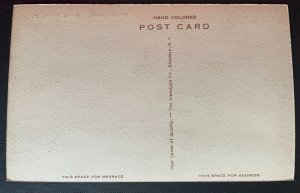 Vintage Postcard 1907-1915 Colonial (Rose) Hotel, Grand Tour, Illinois (IL)